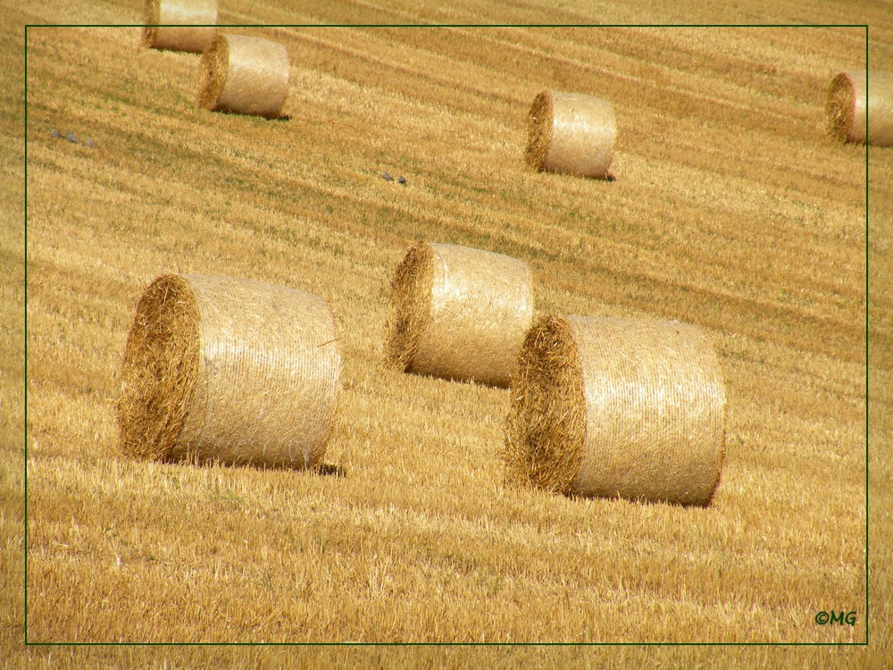 Der " Goldene - Herbst " kommt angerollt...