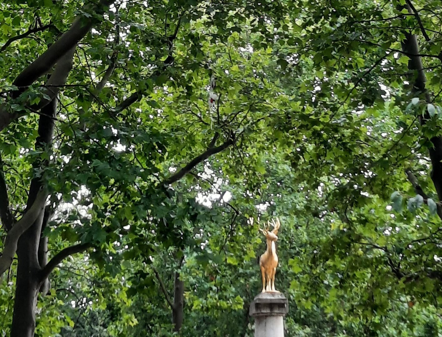 Der goldene Hirsch