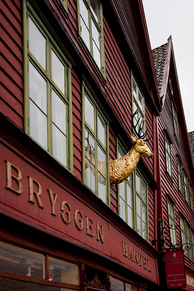 Der goldene Hirsch in Bergen...