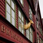 Der goldene Hirsch in Bergen...