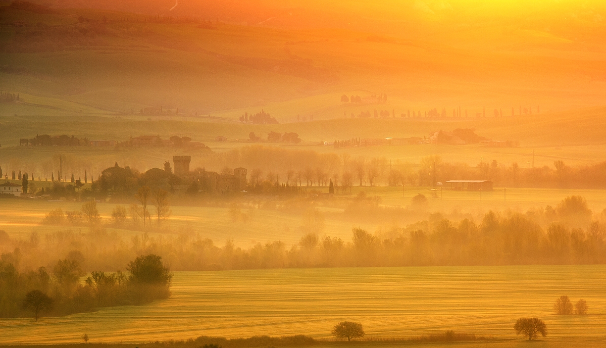 Der goldene Morgen