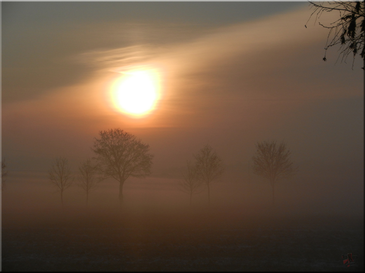 Der goldene Novembernebel