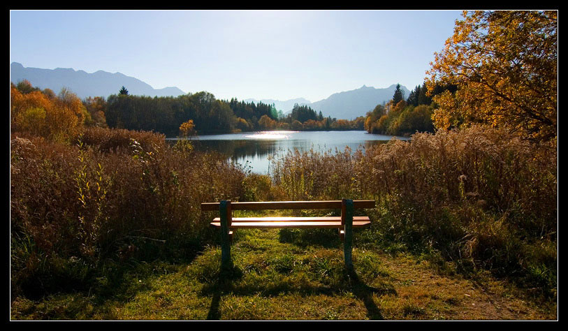 Der goldene Oktober von Alex Gebhardt