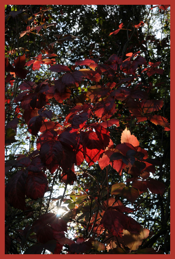 Der Goldene Oktober