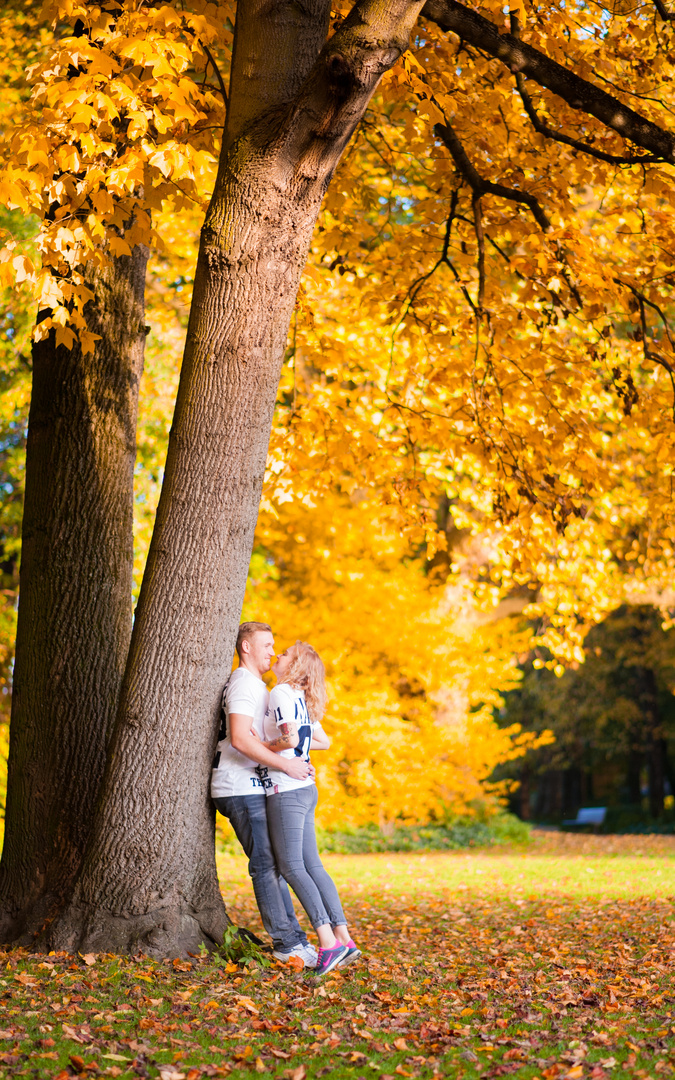 Der goldene Oktober 2