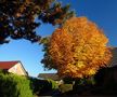 Der goldene Oktober by Hendrik Gerrits