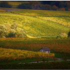 Der goldene Oktober