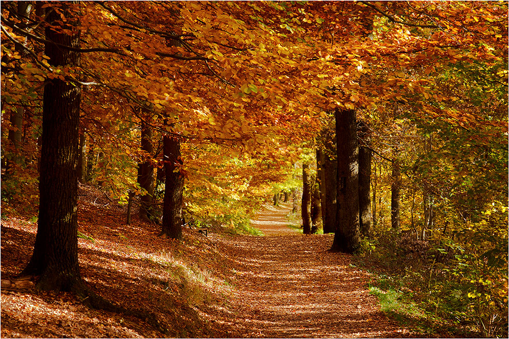 Der Goldene Oktober Der Goldene Oktober