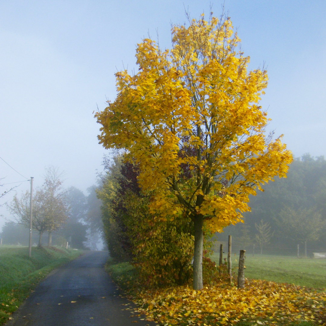 Der goldene Oktober