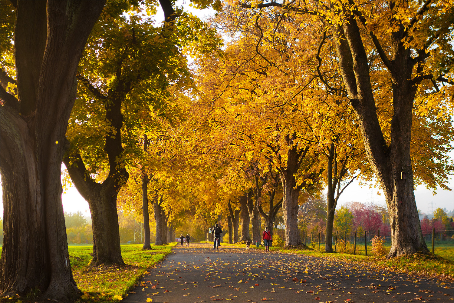 Der "Goldene Oktober"