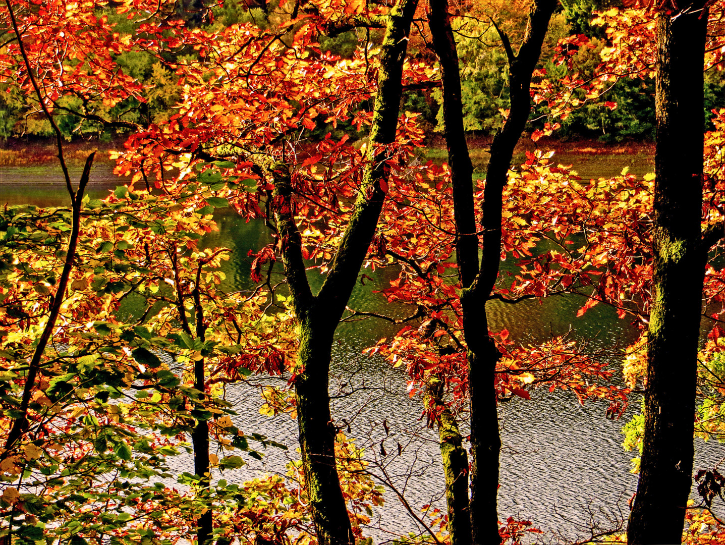 DER GOLDENE OKTOBER...