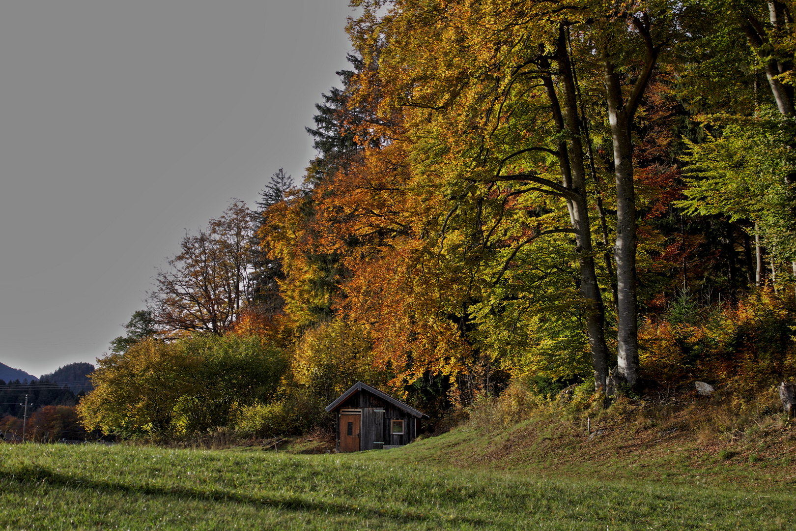 Der goldene Oktober