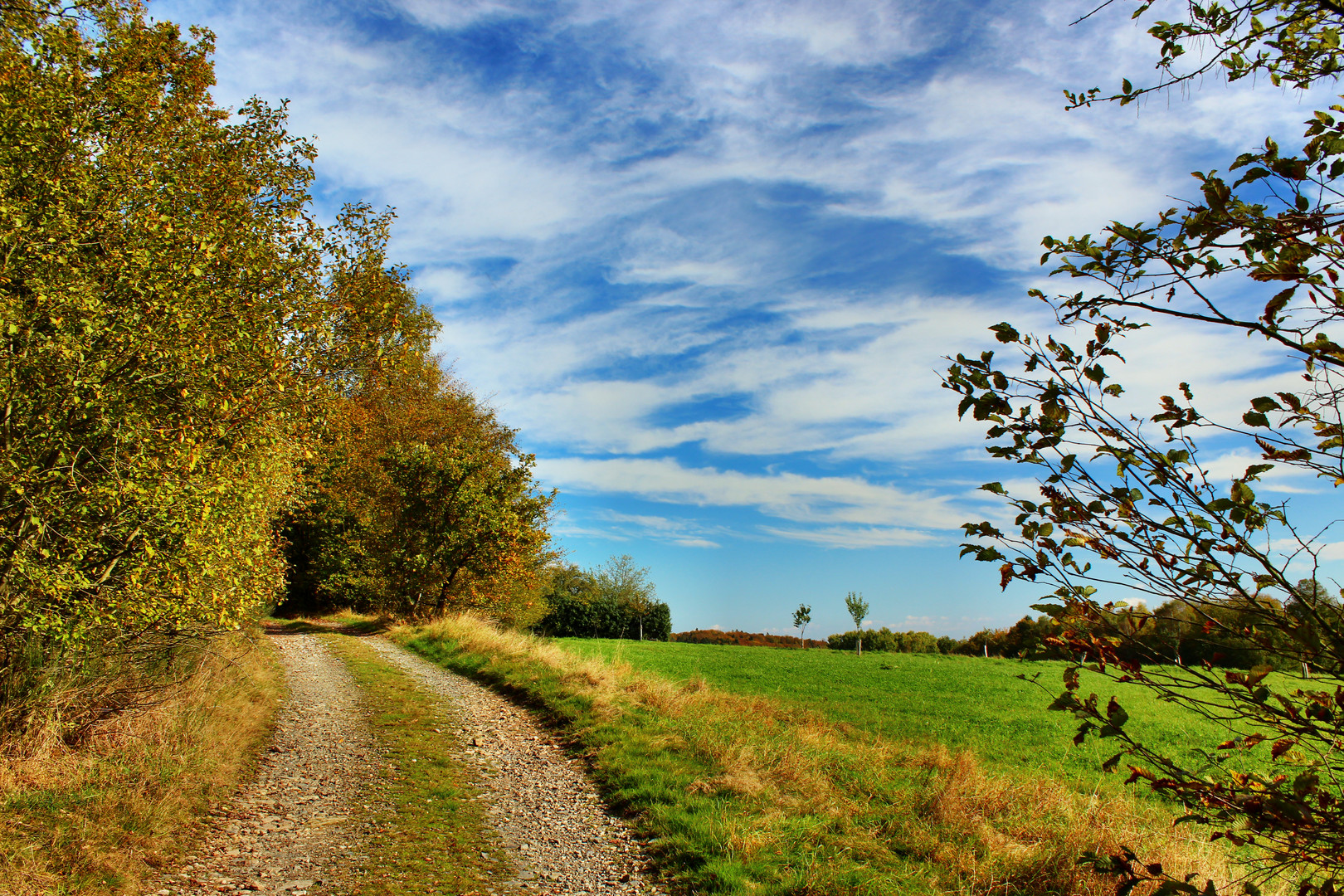 Der goldene Oktober auf dem Bergmannspfad bei Holzappel über der Lahn