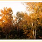 der goldene Oktober ....