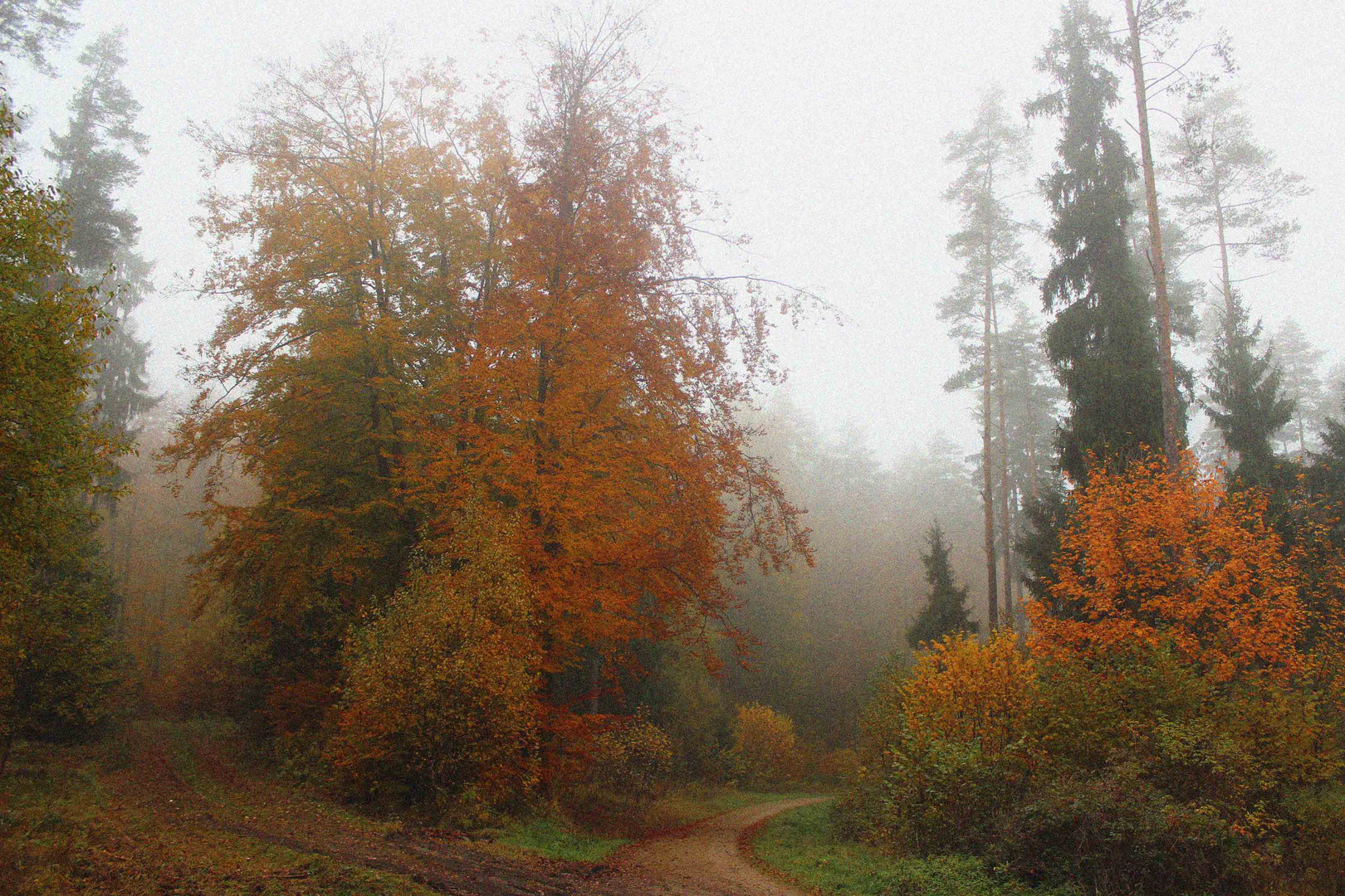 Der Goldene Oktober