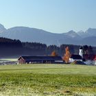 Der goldene Oktober in November - Allgäu