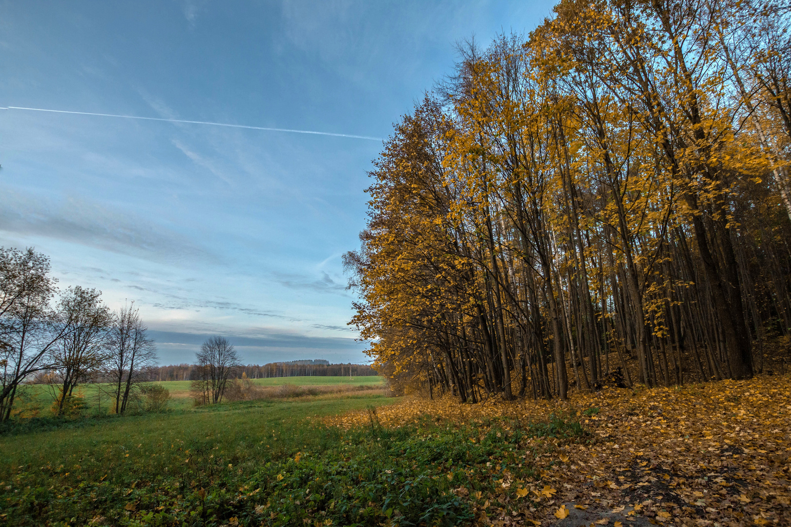 Der goldene Oktober in Polen 