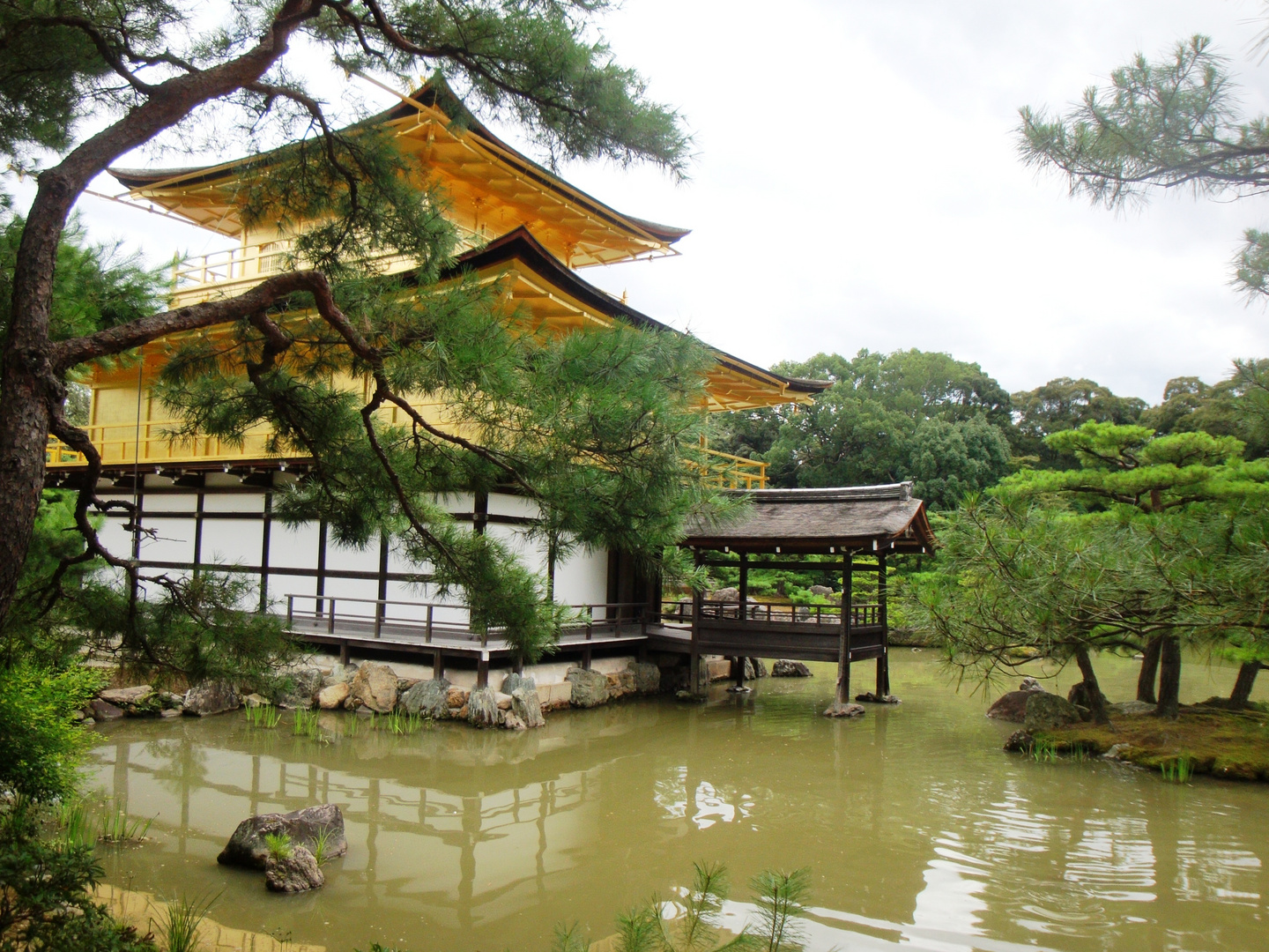 Der Goldene Pavillion im Kinkakuji-Tempel-Bezirk von Kyoto ( 05.08.10 )