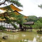 Der Goldene Pavillion im Kinkakuji-Tempel-Bezirk von Kyoto ( 05.08.10 )