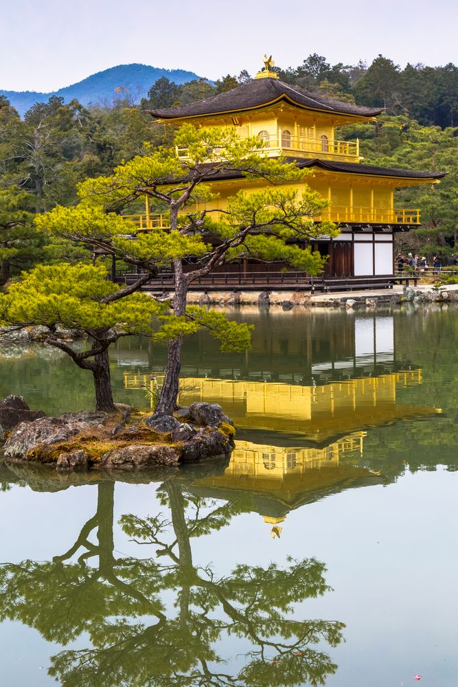 der goldene Pavillon "Kinkaku-ji"