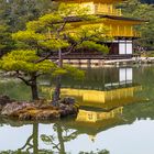 der goldene Pavillon "Kinkaku-ji"