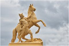 der "goldene" Reiter