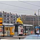 Der goldene Reiter August .Dresden.