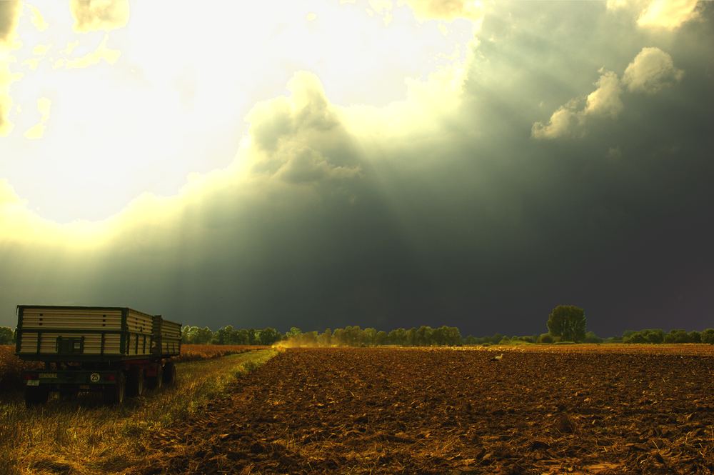 Der goldene Spätsommer