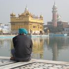 Der goldene Tempel in Amritsar