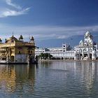 Der goldene Tempel in Amritsar