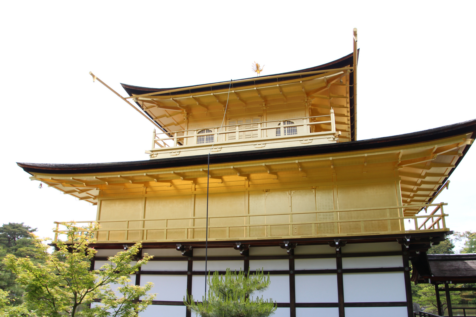 Der goldene Tempel (Kinkaku-ji)