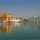 der Goldene Tempel von Amritsar