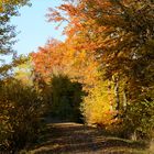 der goldene Tunnel...