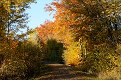 der goldene Tunnel...