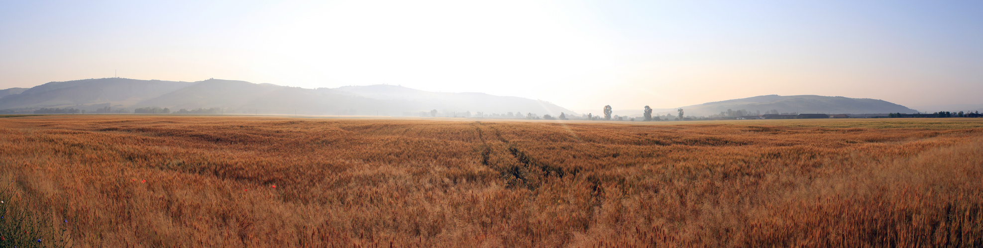 Der Goldene Weg zur Sonne