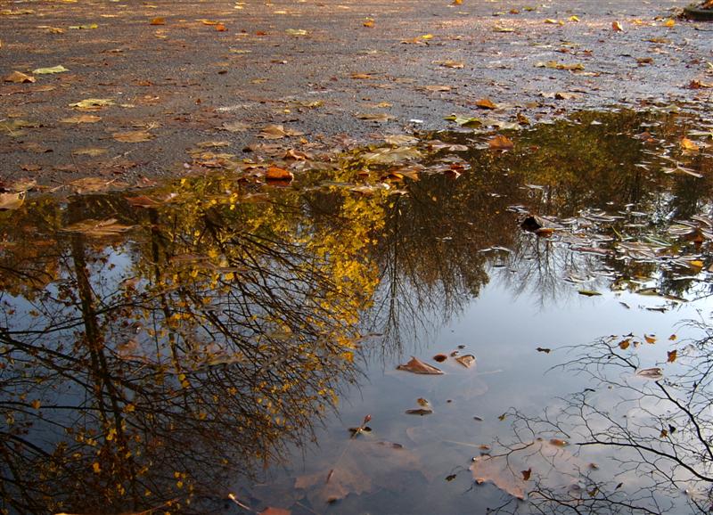 Der goldene Weibersommer