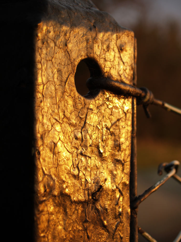 Der goldene Zaun!