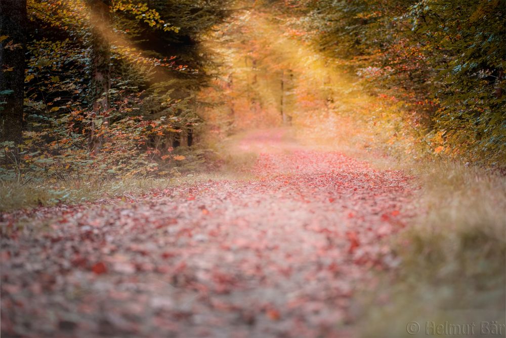 Der goldenen Oktober geht zu Ende