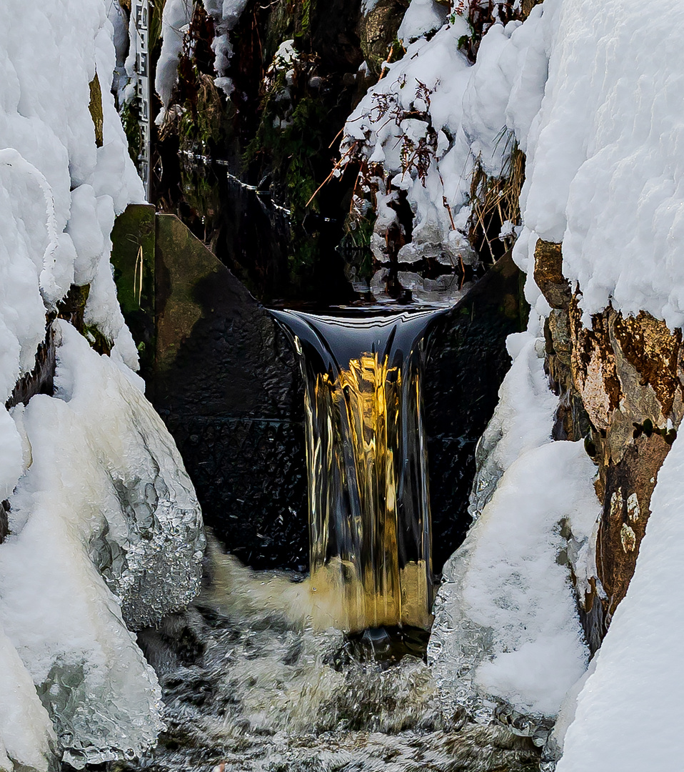 Der Goldenen Zulauf