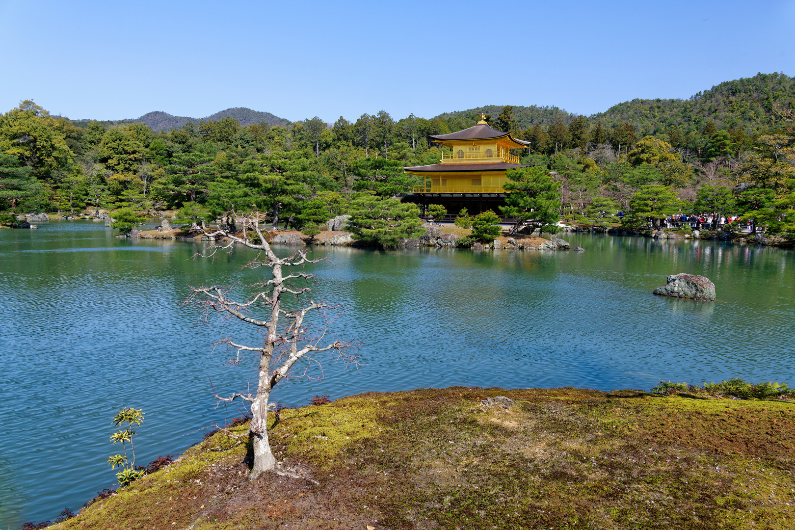 Der Goldener Pavillon Kinkaku-ji  