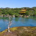 Der Goldener Pavillon Kinkaku-ji  