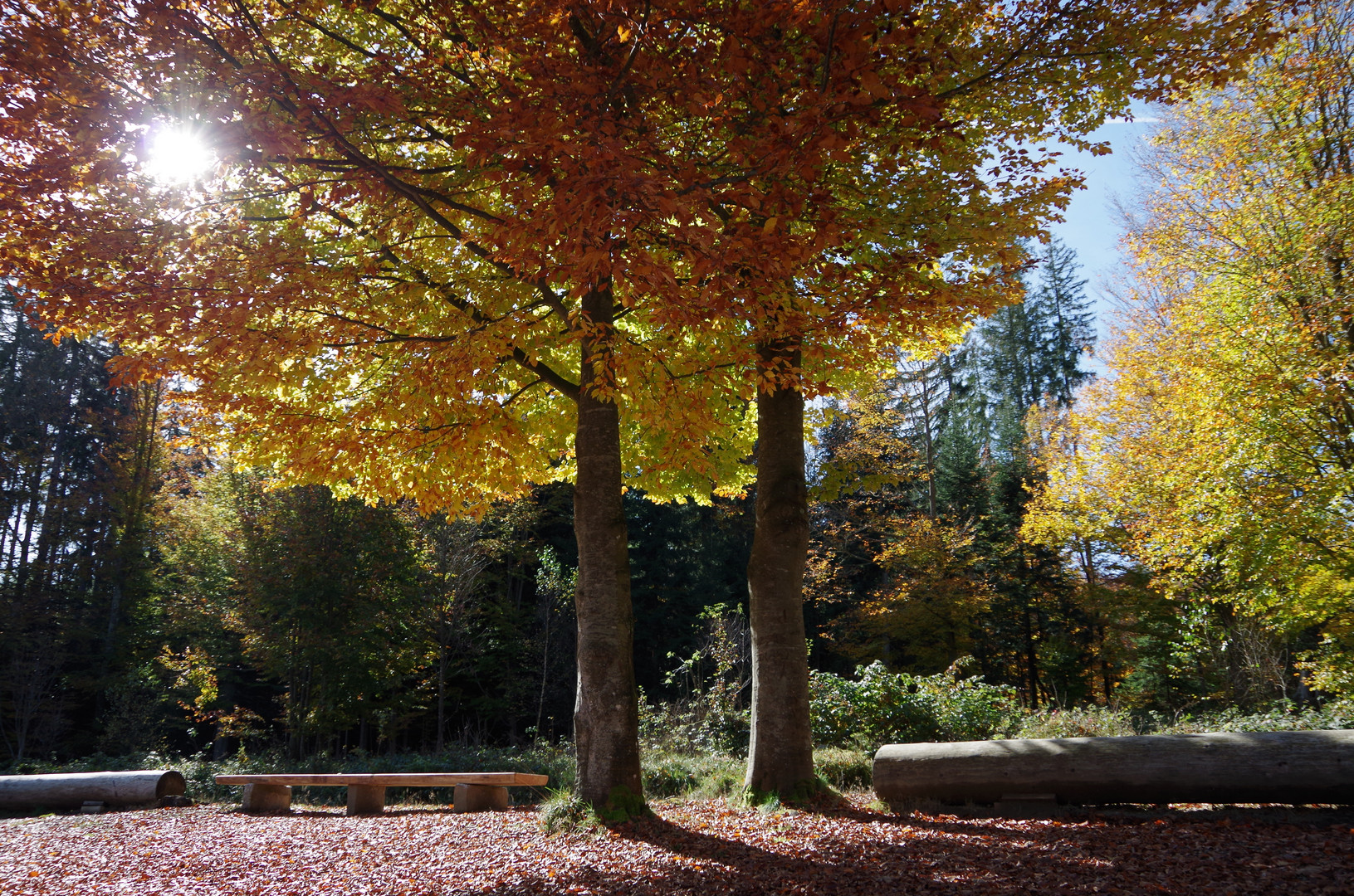 Der golderne Oktober 2012 2