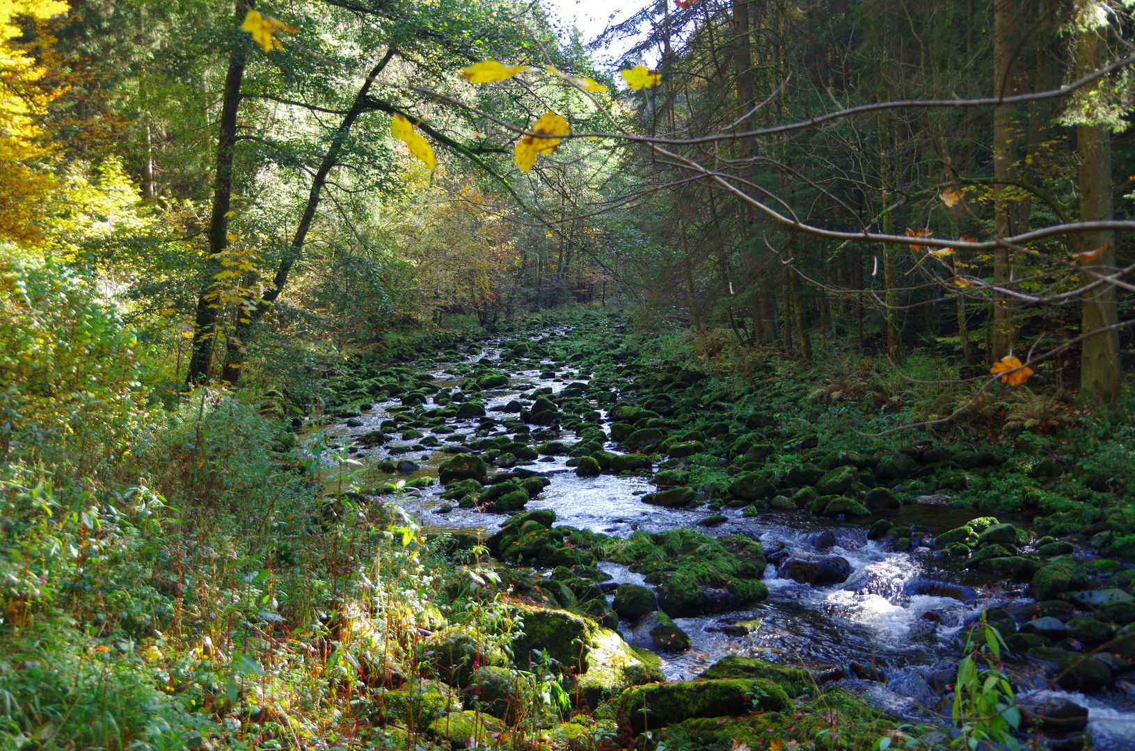 Der golderne Oktober 2012 5