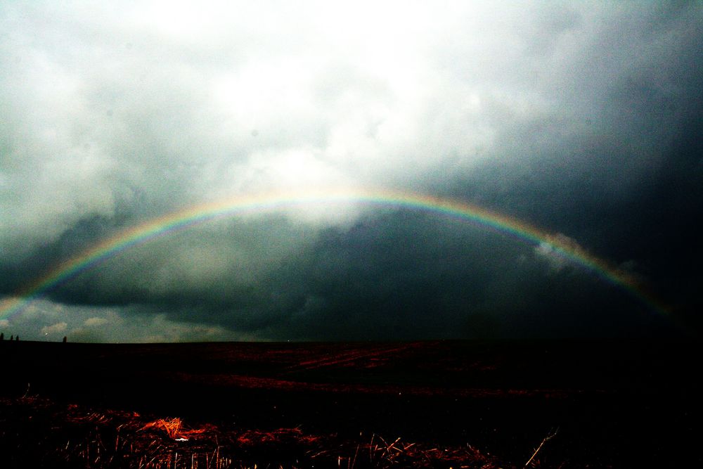 Der Goldtopf vom Regenbogen ...