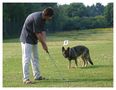 Der Golf-Hund von Guido S