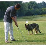 Der Golf-Hund