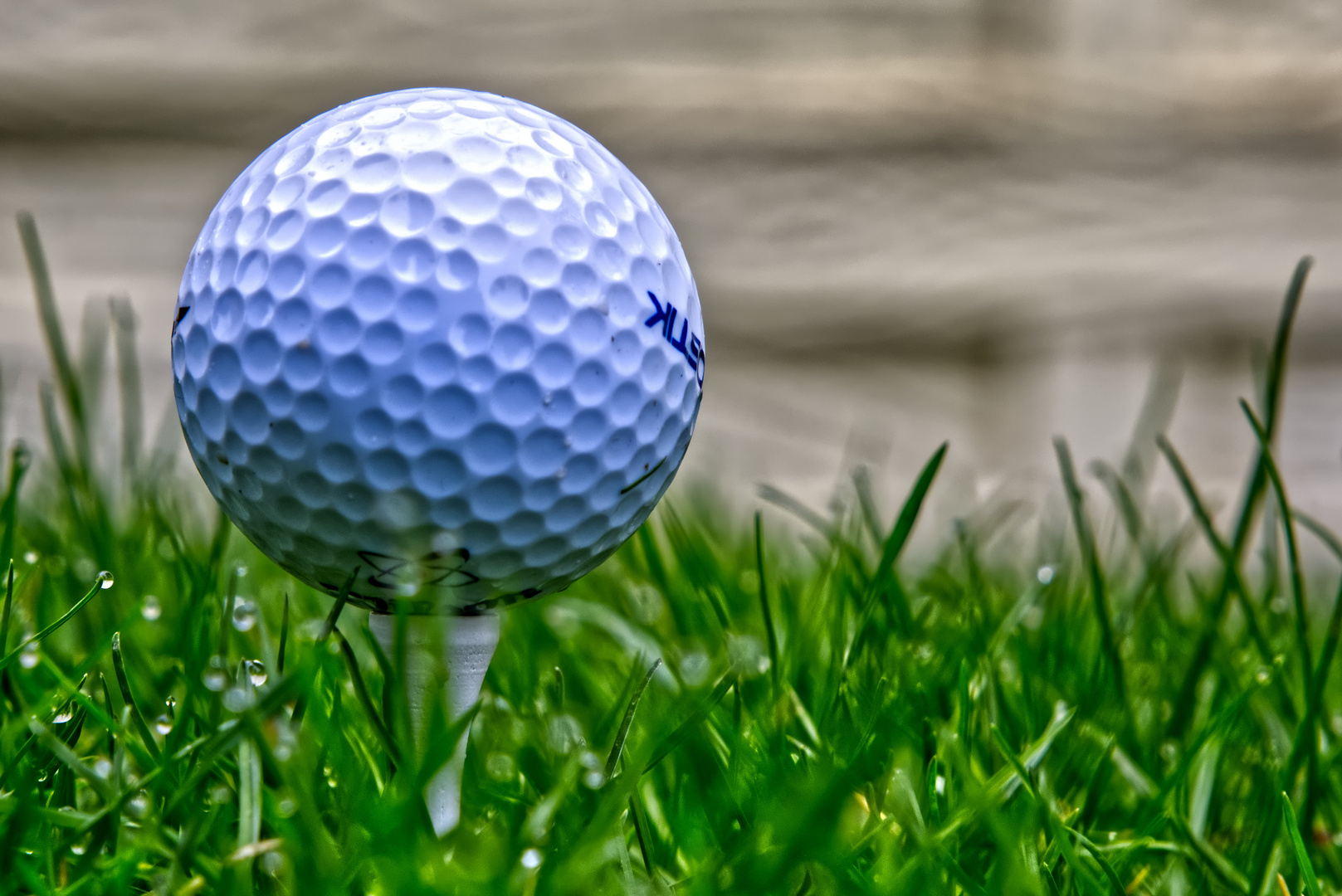 Der Golfball im nassen Gras