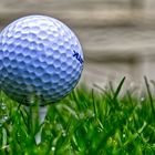 Der Golfball im nassen Gras