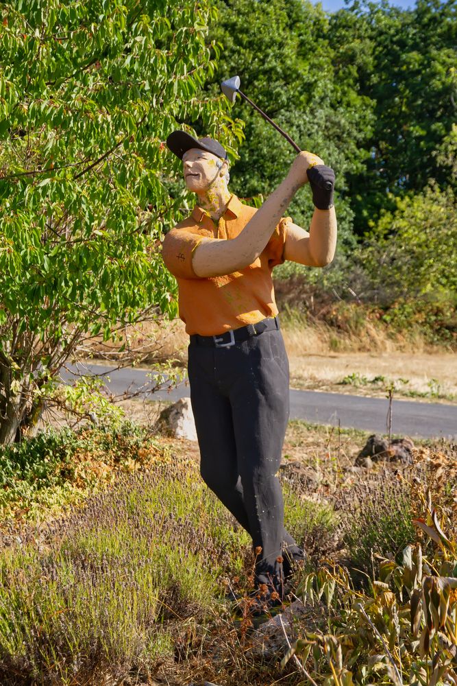 Der Golfer Foto & Bild kunstfotografie & kultur, gemälde & skulpturen