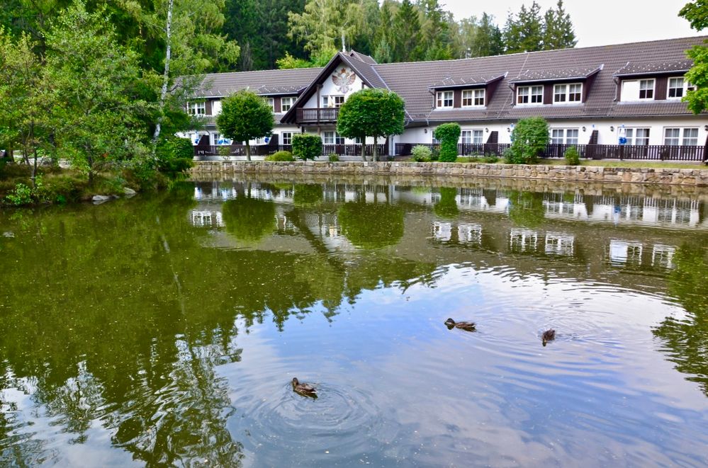 Der Gondelteich  in Jonsdorf als „Fortsetzung“…